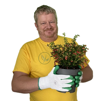 Frank från vårt team