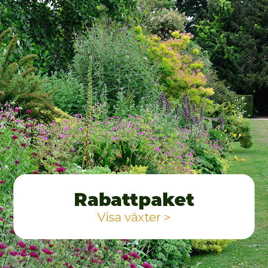 rabattpaket