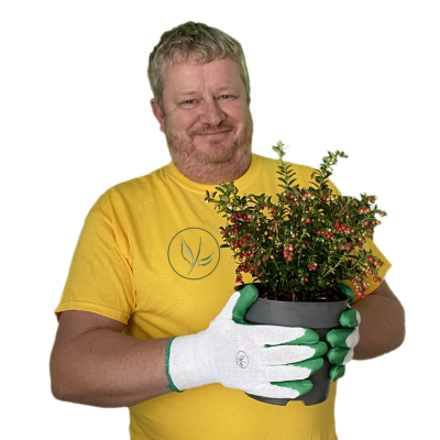 Frank från vårt team